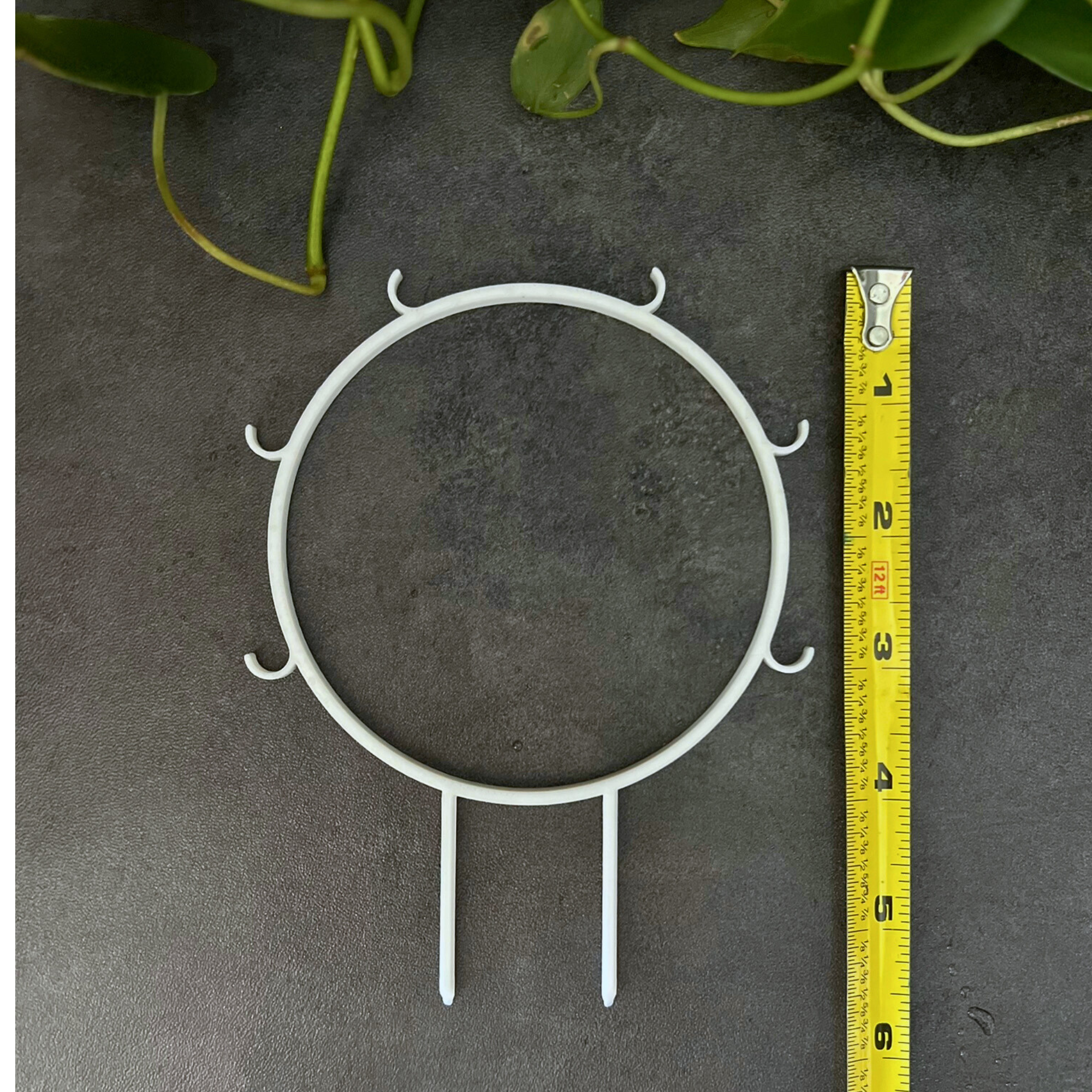 Small Hoop Trellis with Hooks, Eco Friendly Plant Trellis for Climbing Plants, Plant Stake for Pothos, Gift for Her, Hoya Plant Trellis