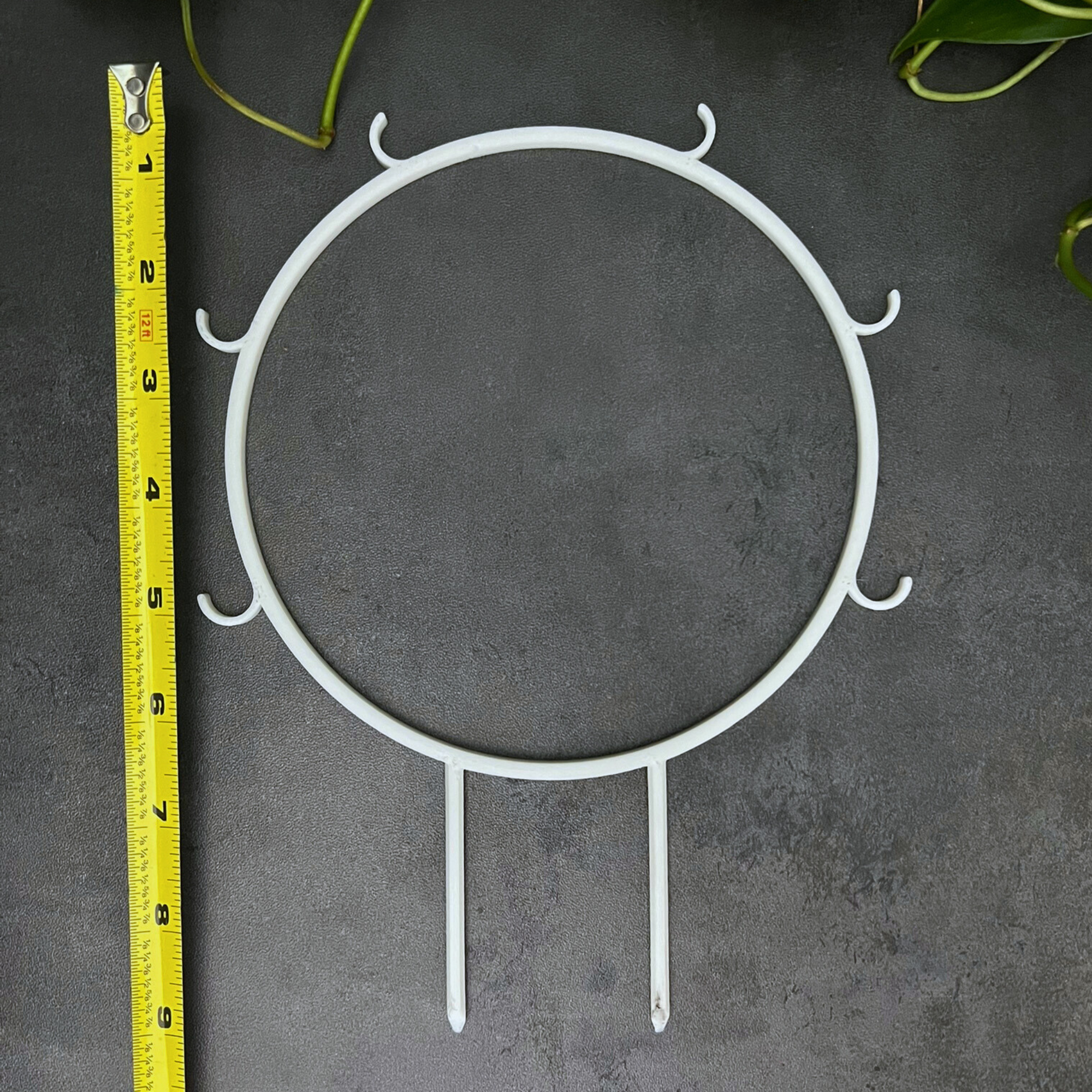 Eco Friendly Plant Trellis for Climbing Plants, Round Trellis with Built in Hooks, 6 Inch Diameter Plant Support 