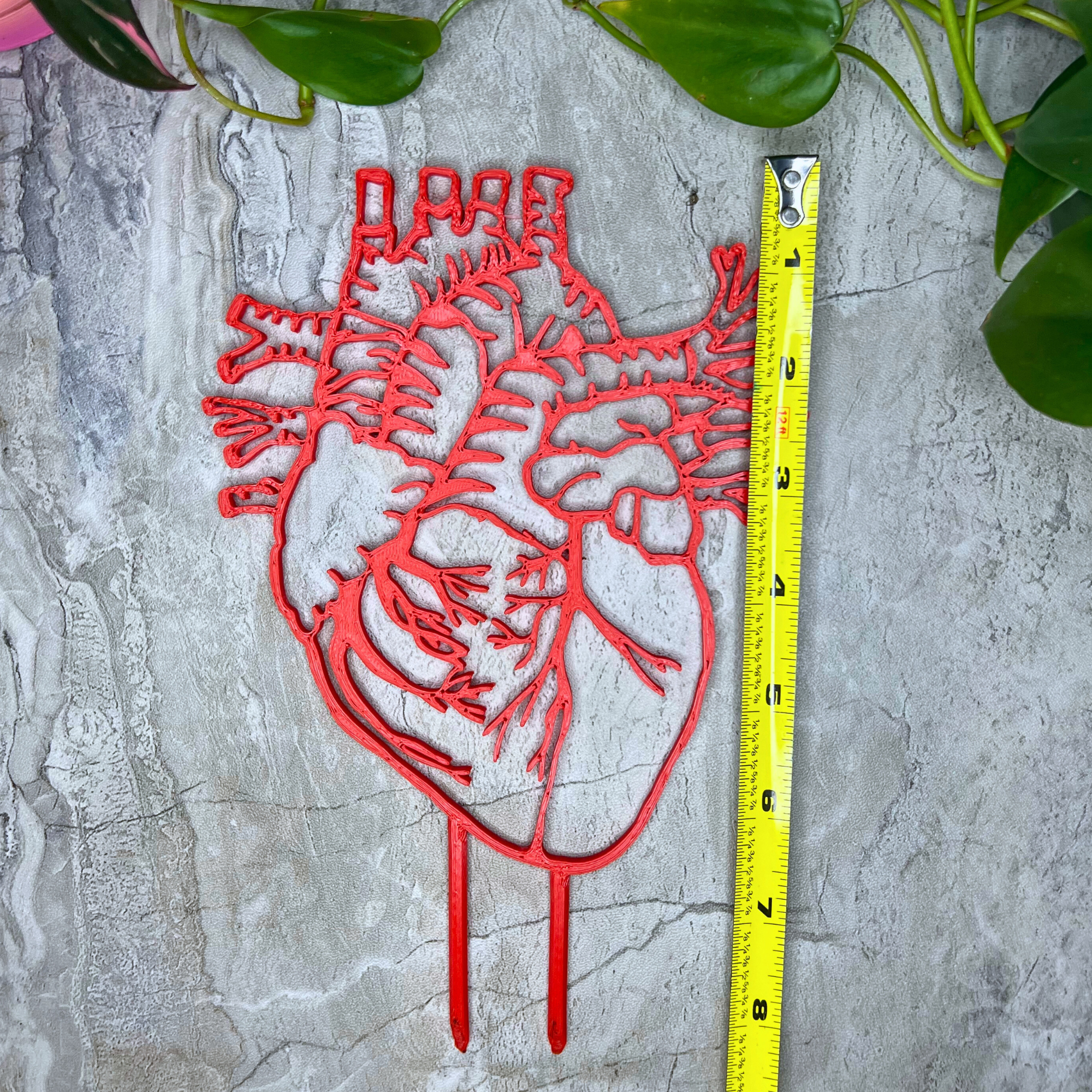 Anatomical Heart Decorative Trellis for Climbing Plants
