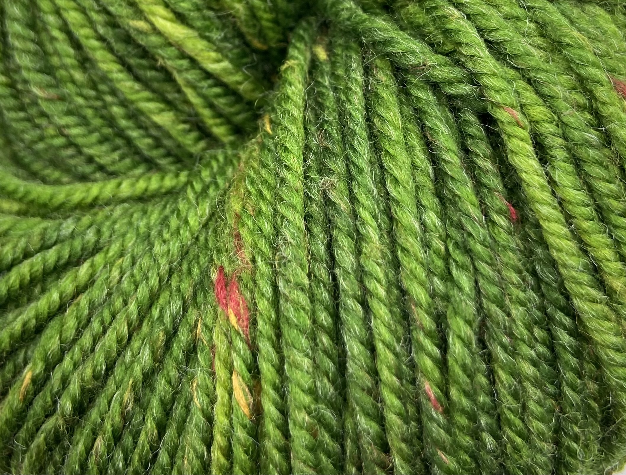 Asparagus