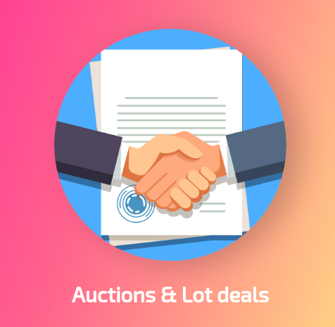 Auctions & Lot Deals