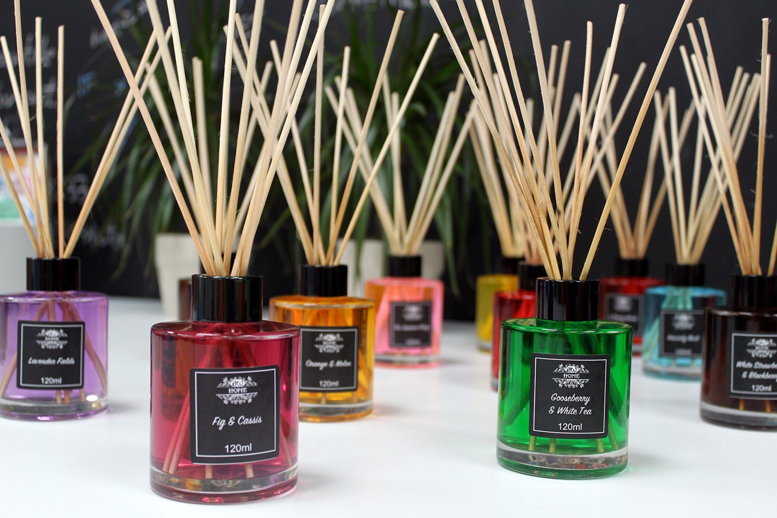 Reed Diffuser - On Jasmine Wings