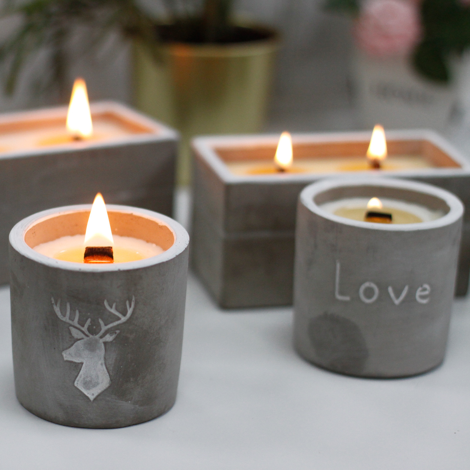 Med Concrete Soy Candle - Stag Head - Whiskey & Woodsmoke