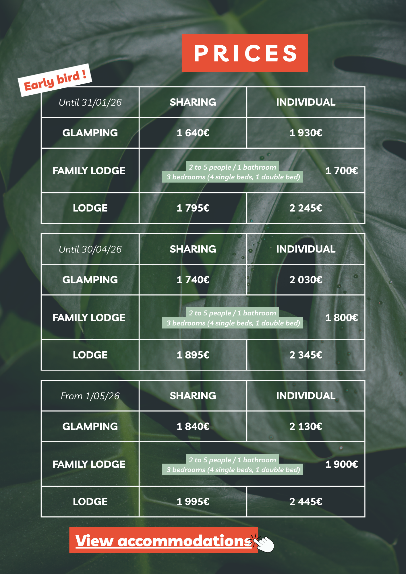 The Groove Xperience - Women’s Retreat In Colombia