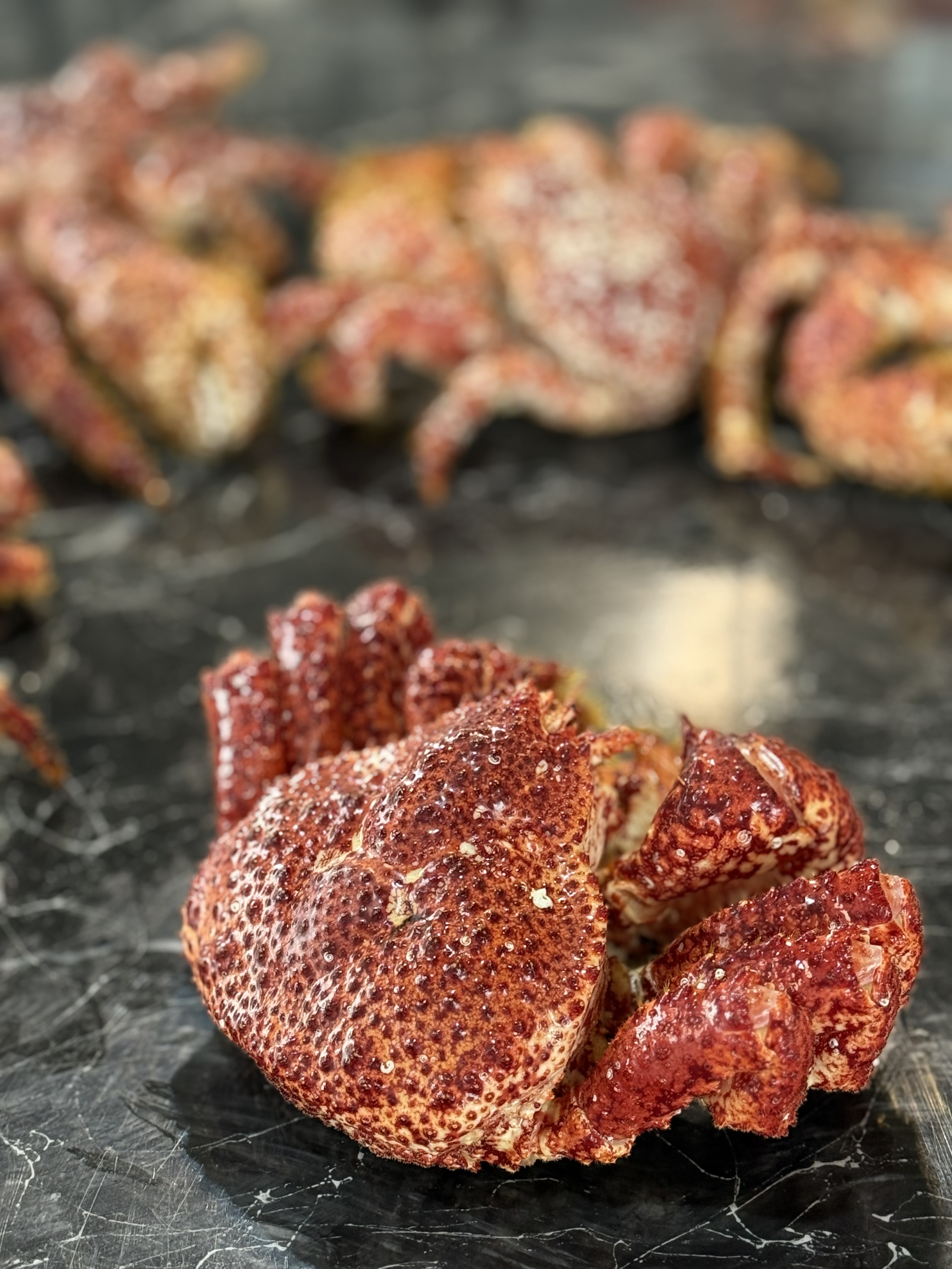 Carne de Centollon x 1kg