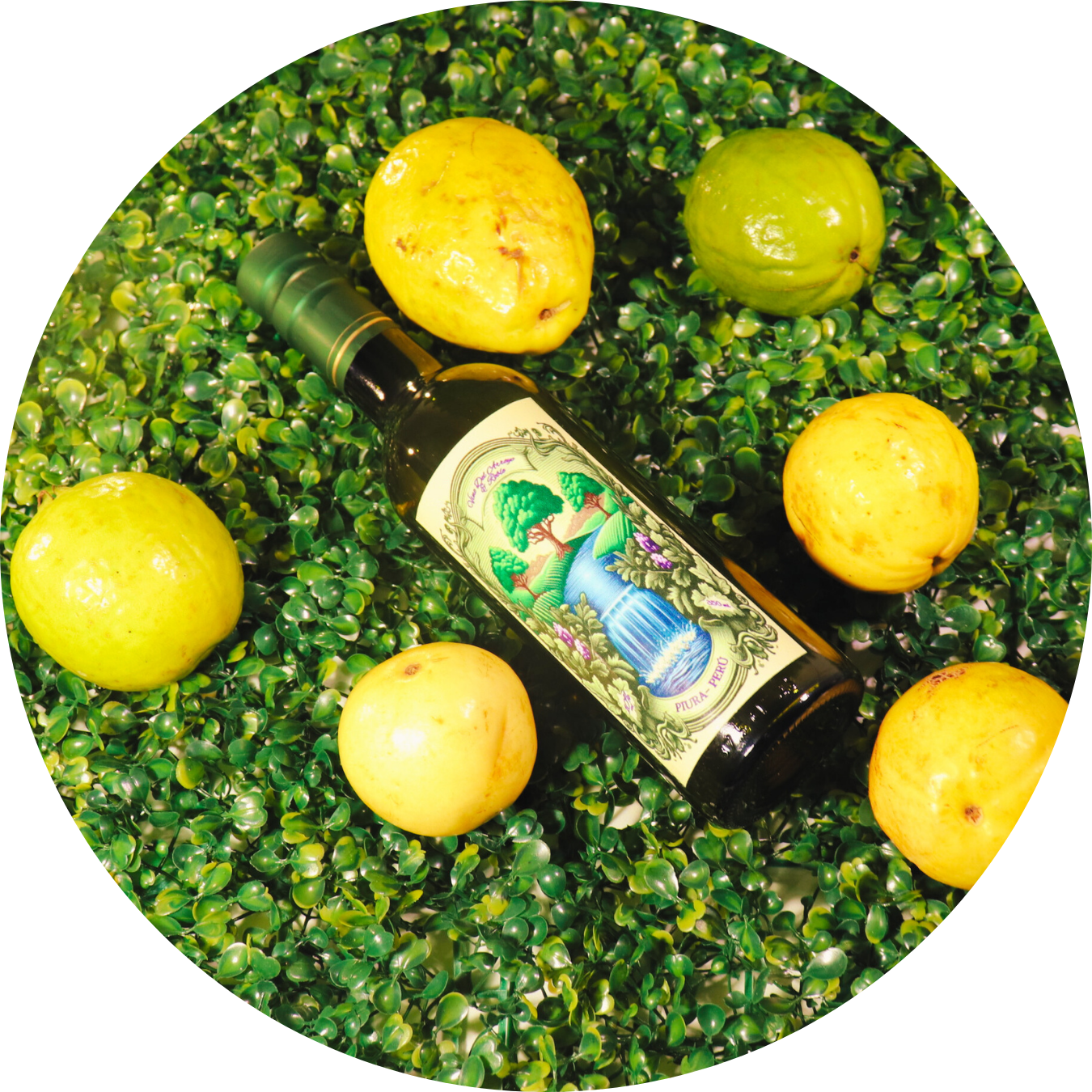 Vino de Artesanal Guayaba