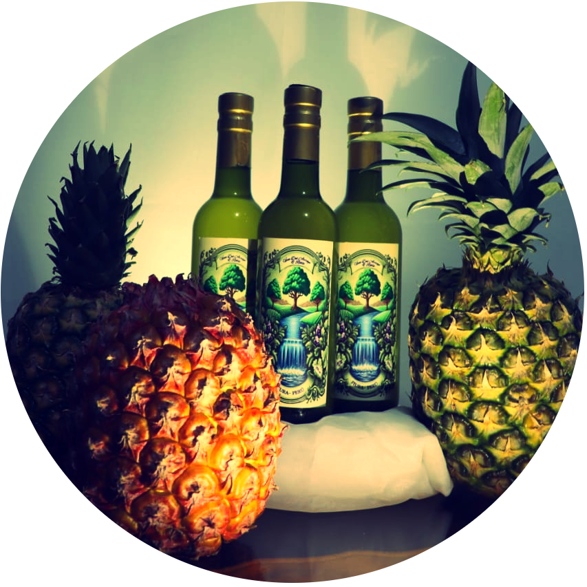 Vino Artesanal Piña