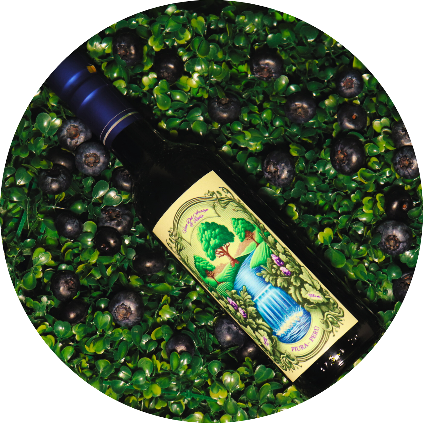 Vino Artesanal Arándano