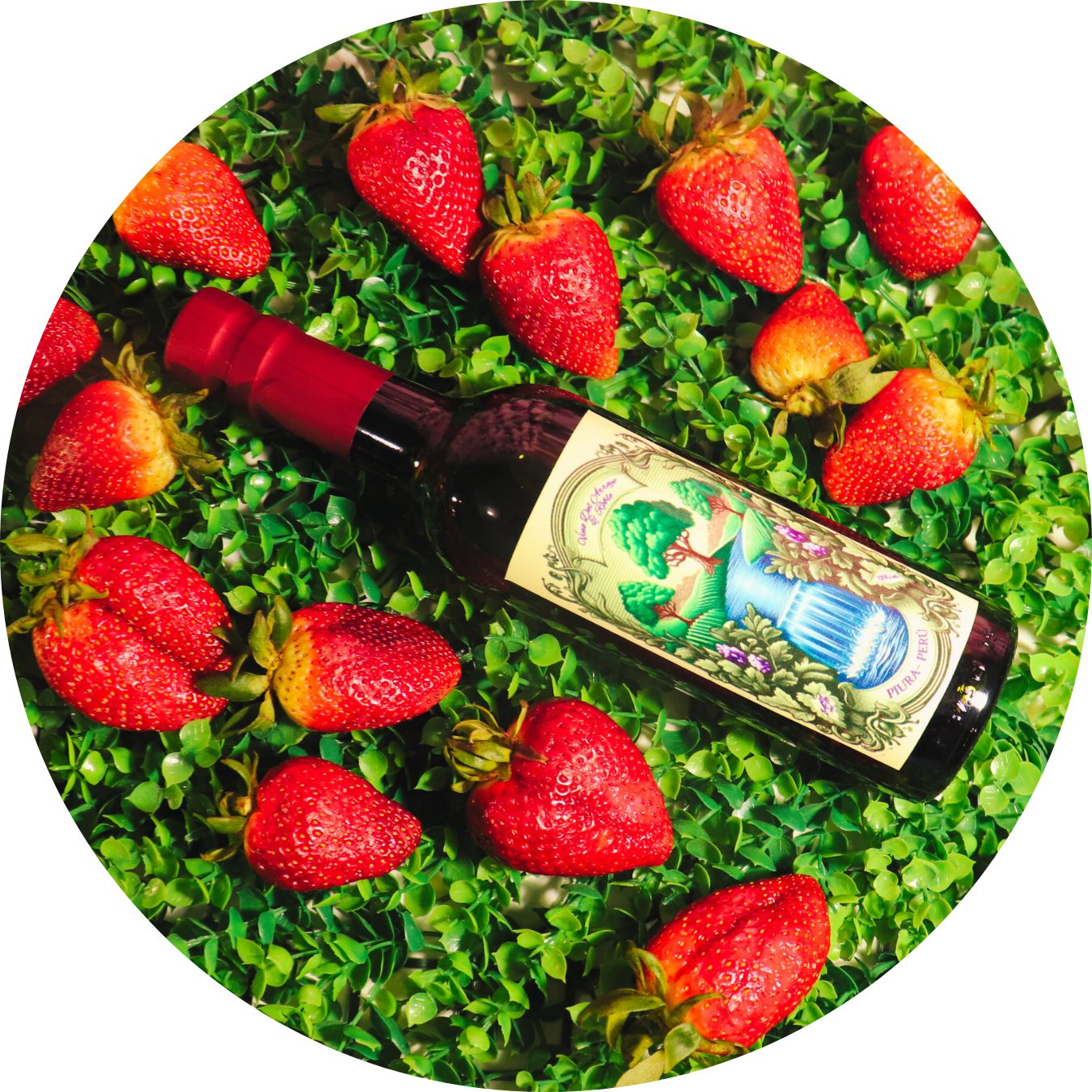 Vino Artesanal Fresa