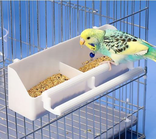 Bird Feeder and Water Dispenser