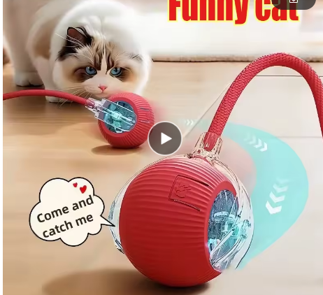 Interactive Cat Toy