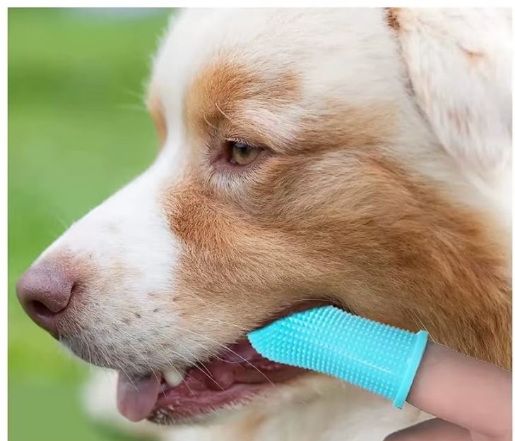 Pet Finger Toothbrush