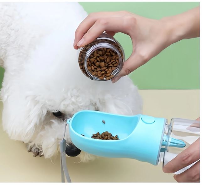 Portable Water Bottle