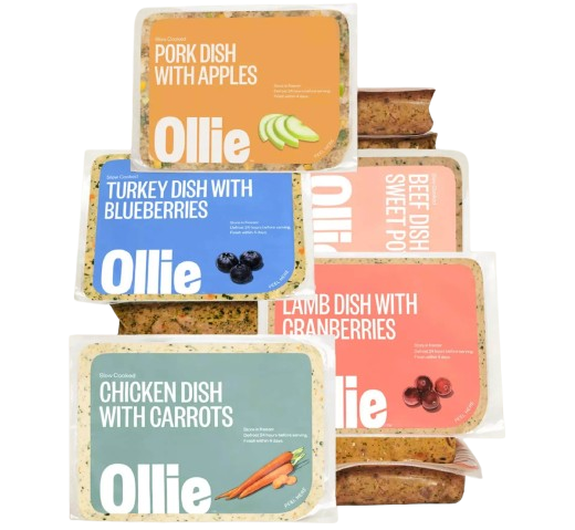 Ollie Dog Food Variety Pack