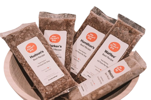 The Farmer's Dog Beef Recipe Packs