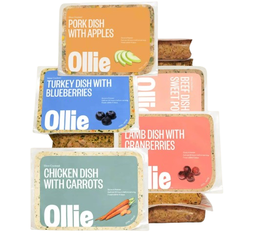 Ollie Pet Food Variety Pack