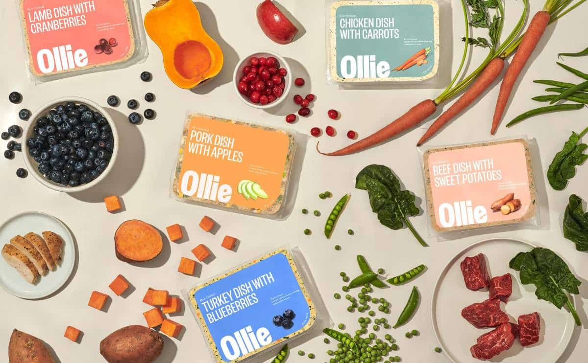 Ollie Pet Food Variety Pack
