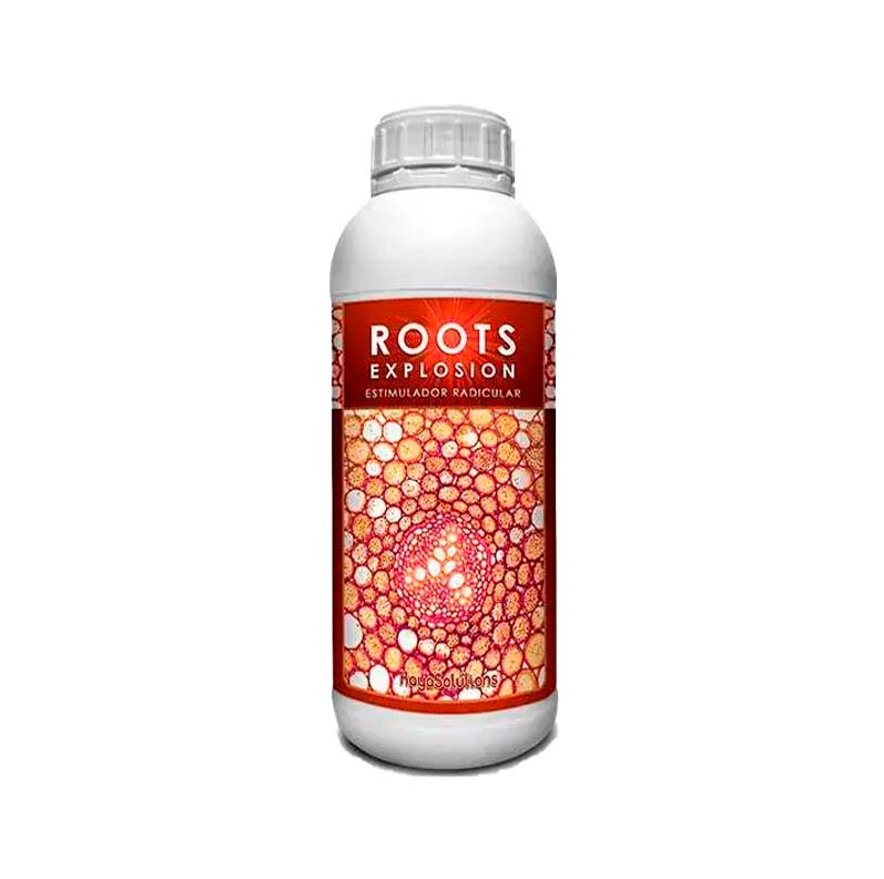Roots Explosion. Kaya Solutions