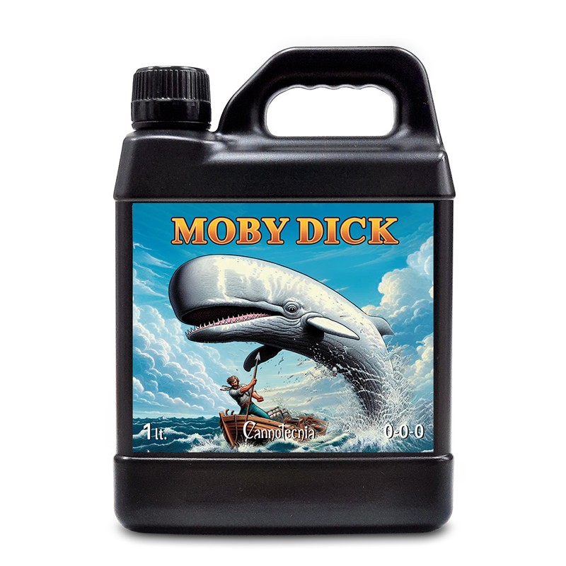 Moby Dick 1 L