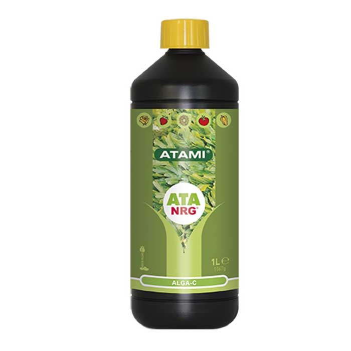 ATA NRG Alga  - C 