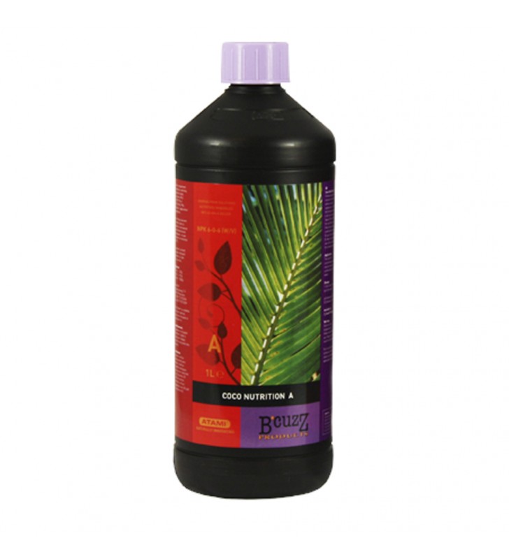 B´Cuzz Coco A