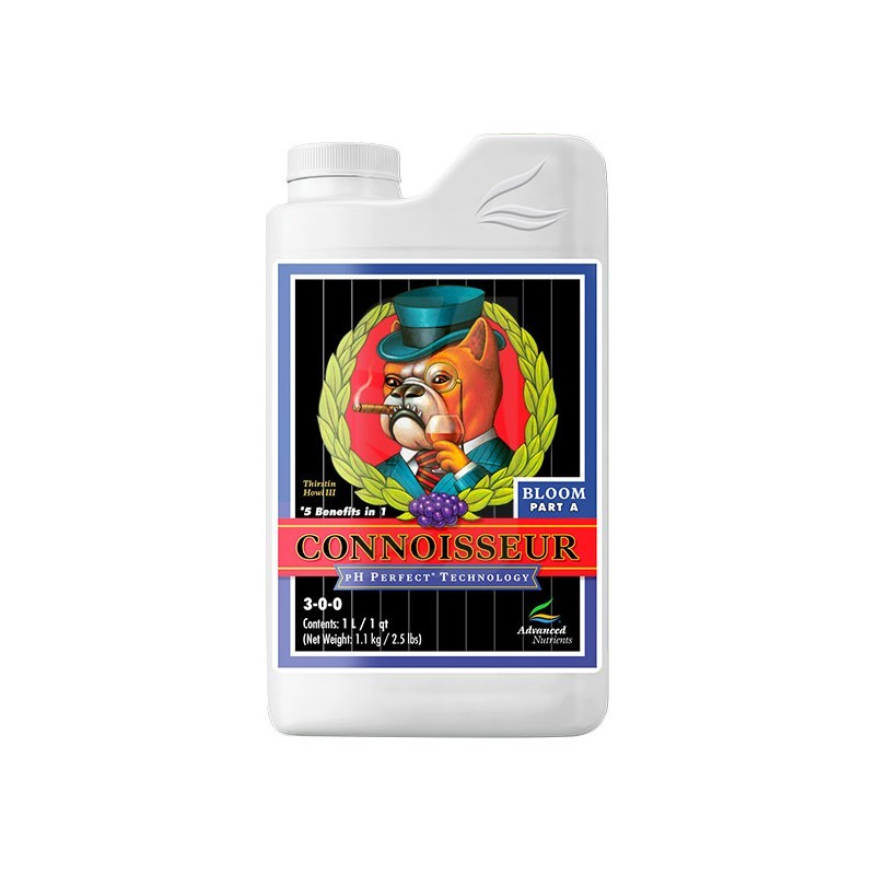 Connoisseur Bloom A 