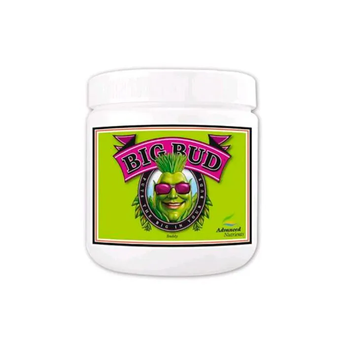 Big Bud Powder