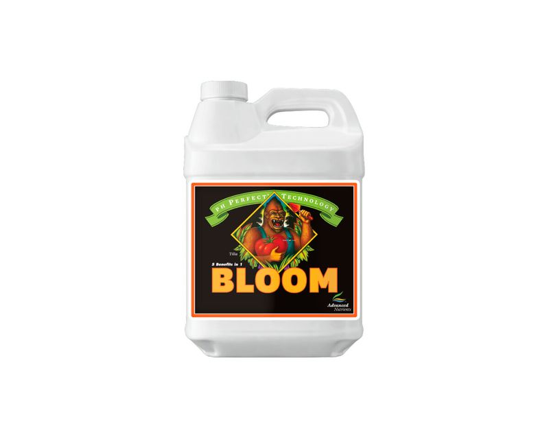 PH Perfect Bloom 4 L