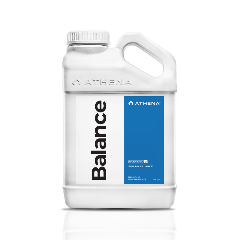 Balance 3.78 L 