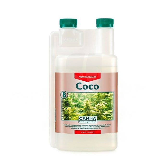	Coco B 
