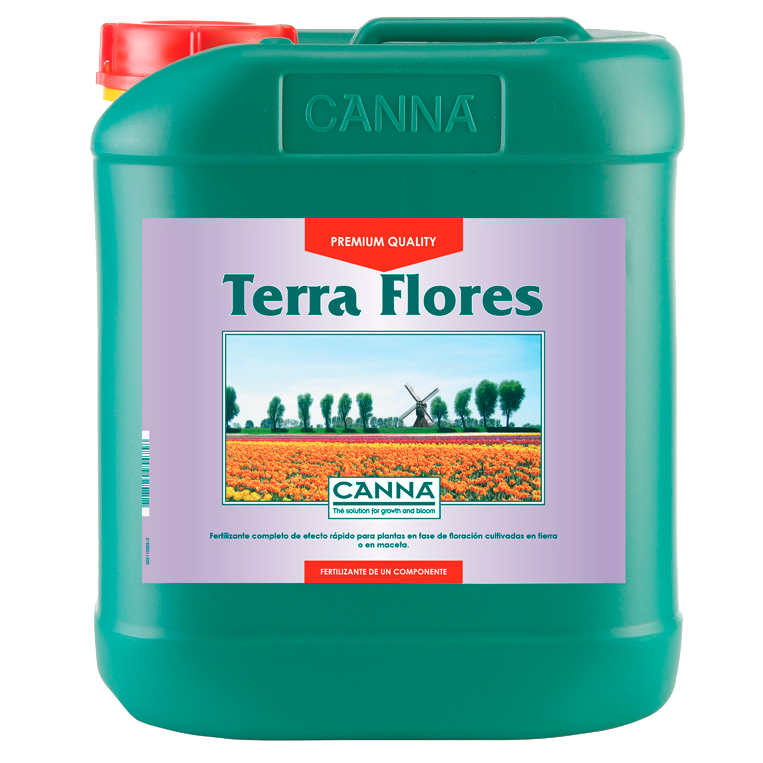 Terra Flores 