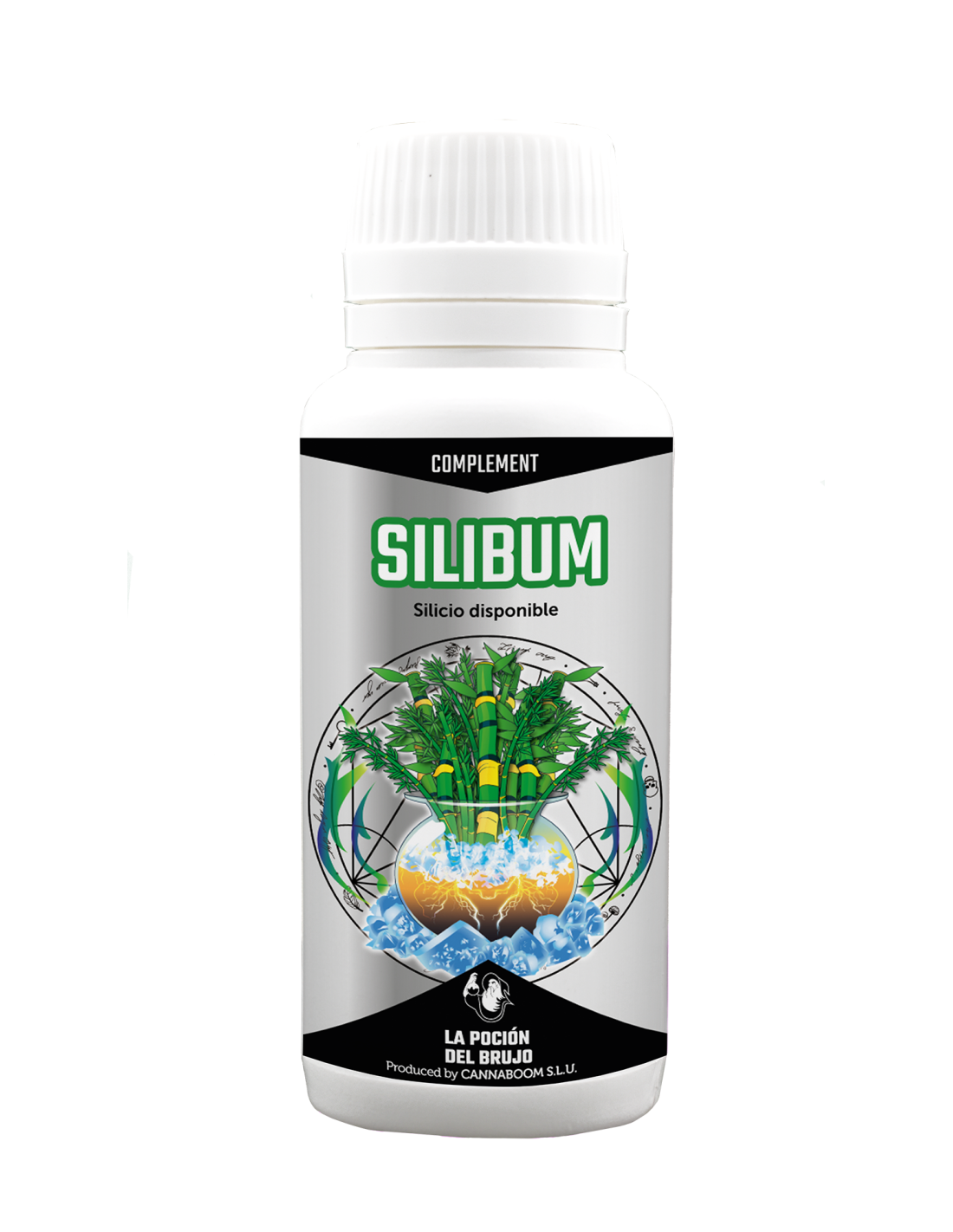 	Silibum 