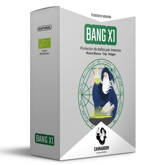 Bang 75 ML