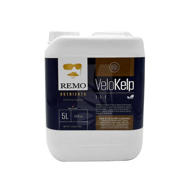 Velokelp. Remo