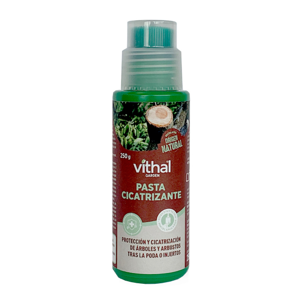 Pasta Cicatrizante 250 GR