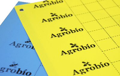 Trampa Adhesiva Amarilla 40X25 Folio