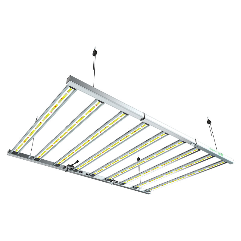 Led Lazerlite Pro. 1.080 W 3.1