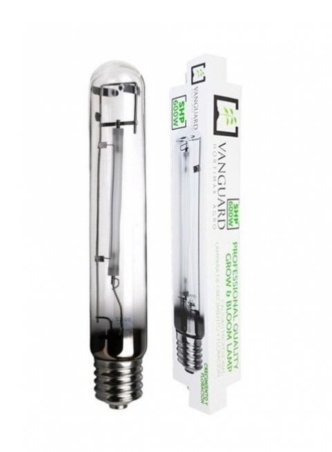 Bombilla 600W Vanguard