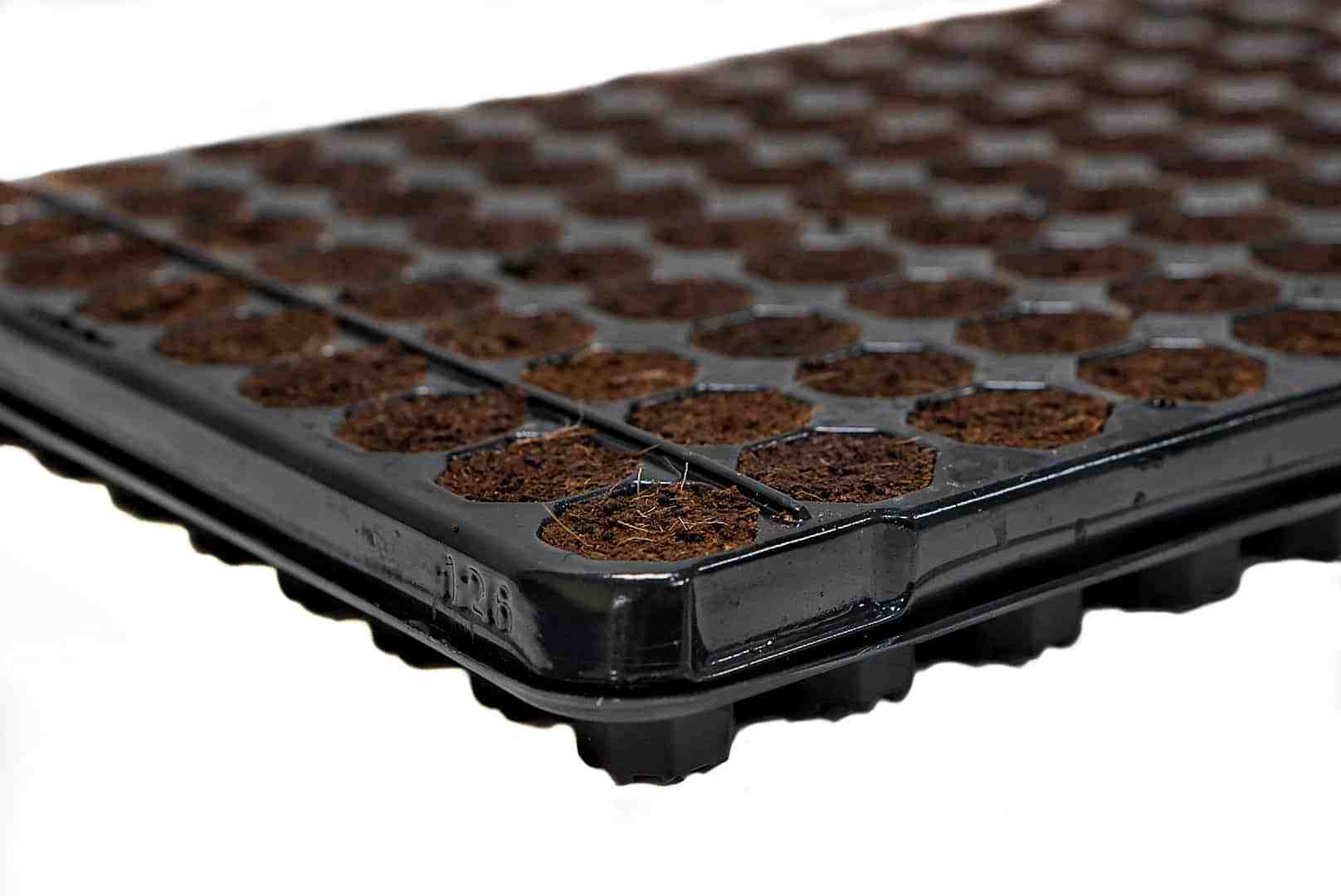 	The King Germinator 104 Alveolos