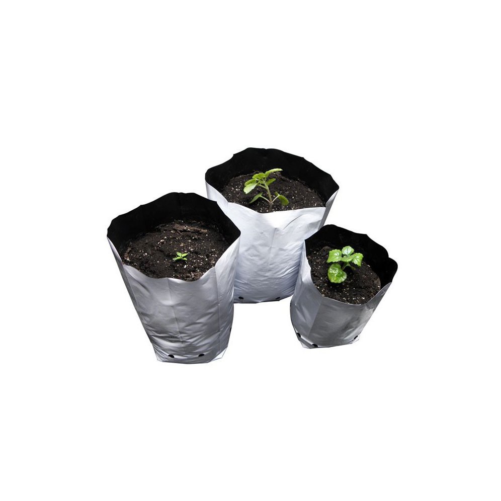 Bolsa de Cultivo