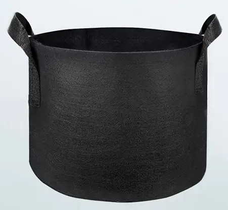 Maceta Saco Dutch Masters