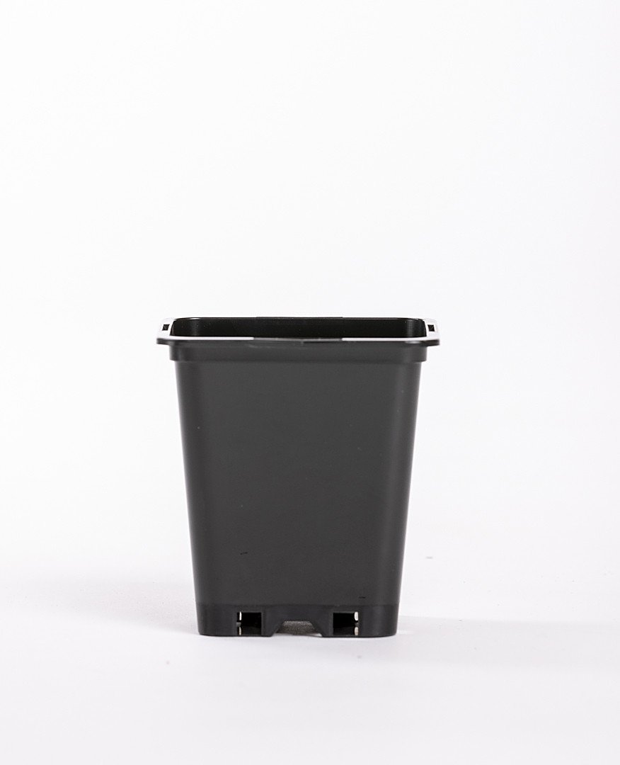 Maceta Cuadrada