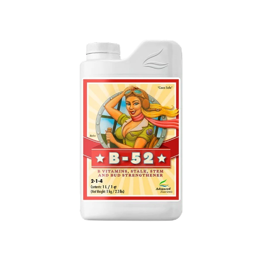 	B-52