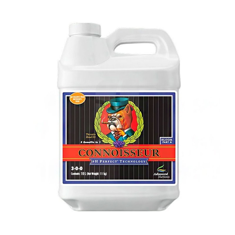 Connoisseur Bloom A 