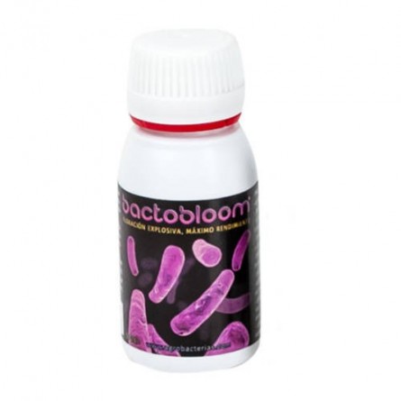 Bactobloom 
