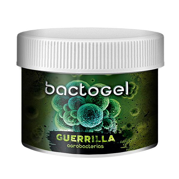 	Bactogel 