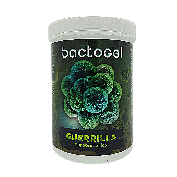 	Bactogel 