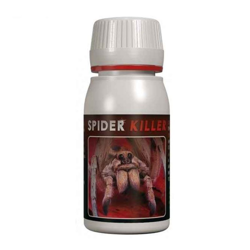 	Spider Killer 