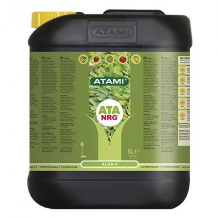 ATA NRG Alga  - C 