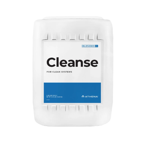 Cleanse 